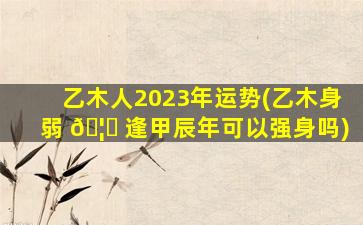 乙木人2023年运势(乙木身弱 🦅 逢甲辰年可以强身吗)